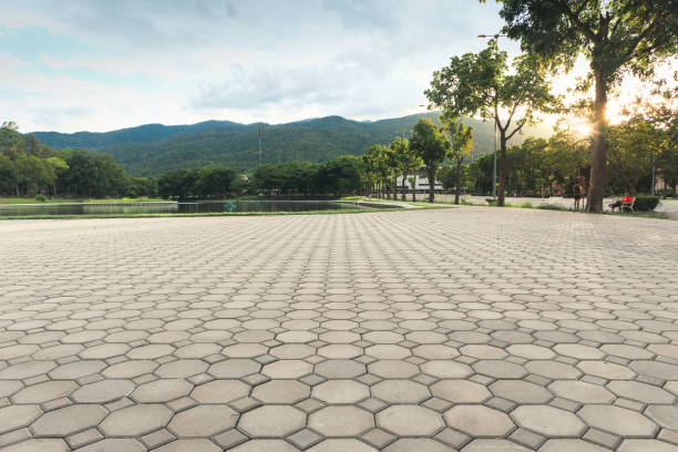 Best Driveway Pavers Near Me  in Buffalo, TX